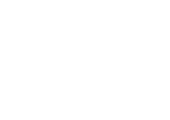 Генеральный партнёр