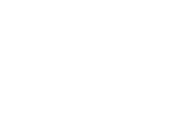 Титульный партнёр