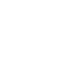 Официальный партнёр