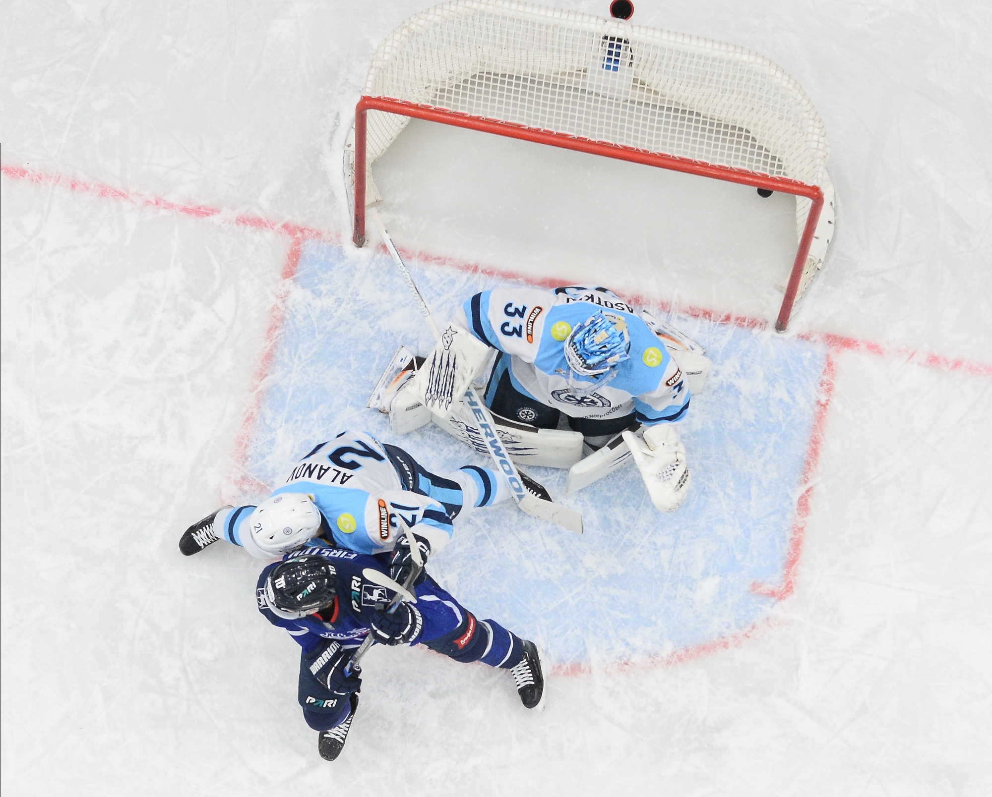 Наш новый гость — «Сибирь»